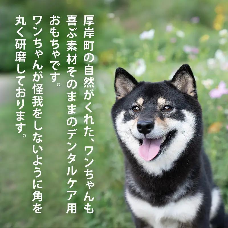 厚岸町産 わんちゃん用 エゾ鹿の角 半割1本 20cm 中型～大型犬用 【deer food】[犬 おもちゃ 犬用ガム ペット用品 鹿角 長持ち デンタルケア ペット ] 