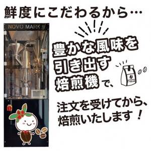 【毎月定期便】いろんな国のコーヒー飲んでみたい!「6ヶ月コース(粉)」全6回【4067852】