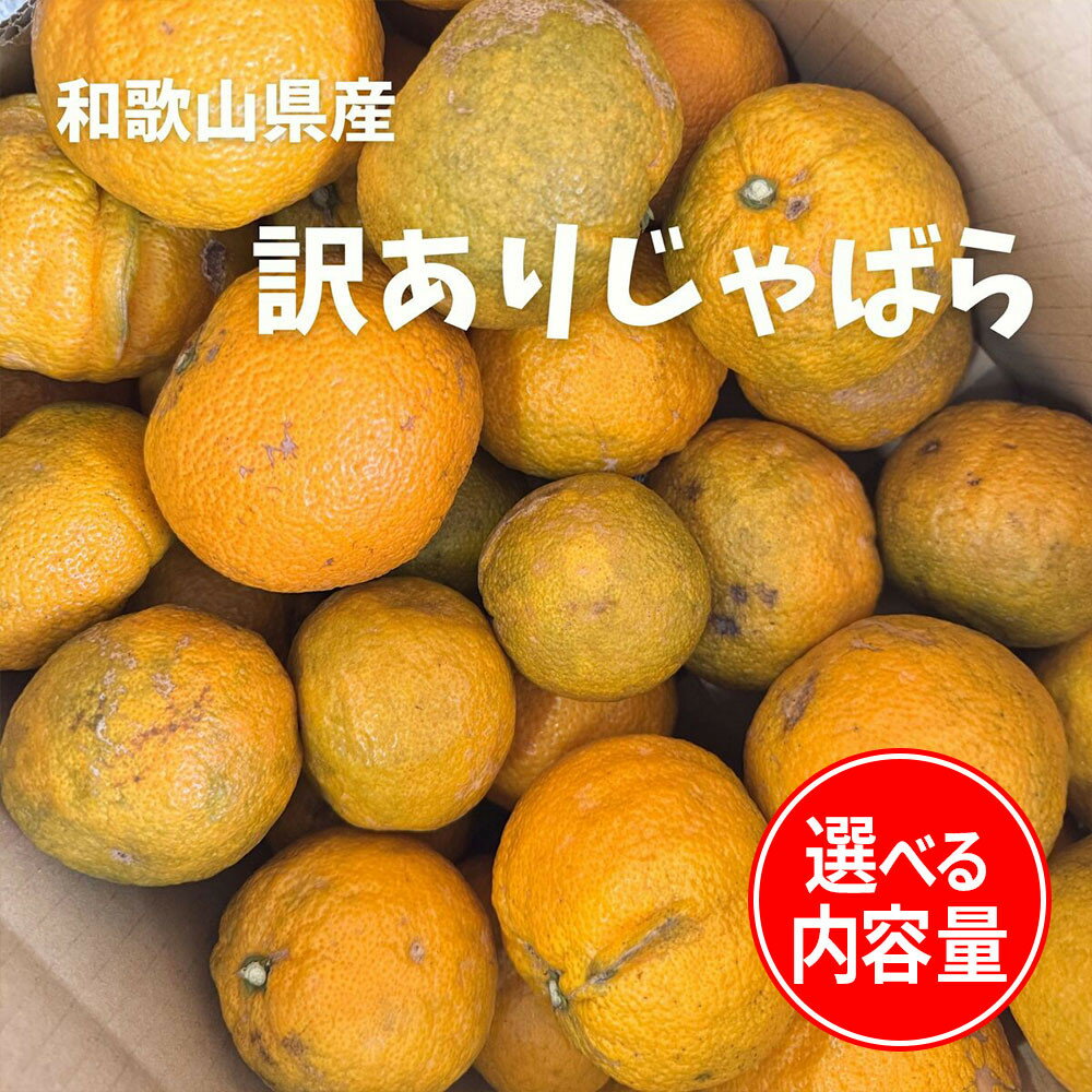 【ふるさと納税】【選べる内容量】 訳あり じゃばら 1～10kg | じゃばら 柑橘 フルーツ 果物 くだもの 食品 人気 おすすめ 送料無料