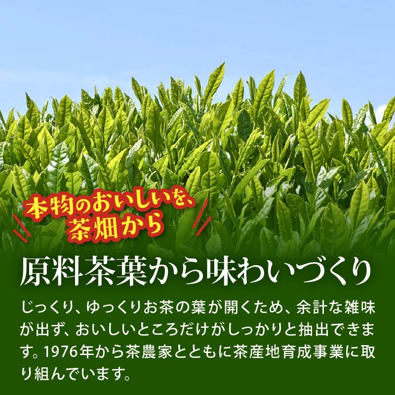 131-29 おーいお茶 緑茶 600mL × 24本 防災備蓄 茶 ペットボトル 飲料 伊藤園