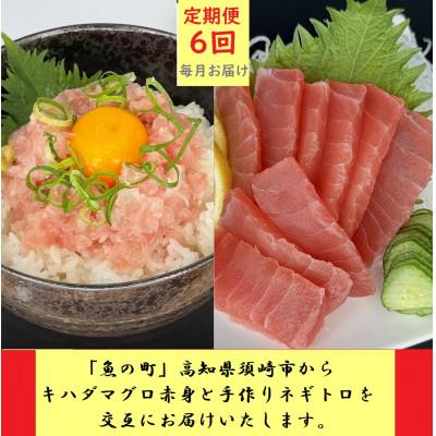 ふるさと納税 須崎市 【毎月定期便】『魚の町』高知県須崎市からキハダ鮪500gとネギトロ500gを交互にお届けします全6回