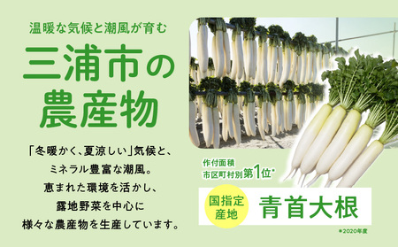 神奈川県 三浦市 【 返礼品なし 】 応援寄附 農業 に関する 事業 を 応援（ 1,000円 ） MN-1000-1 返礼品無 応援