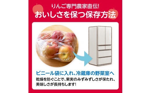 《先行受付》贈答規格 旬のりんご詰合せ約3kg（サンふじ確約3種以上）特秀～秀 大江町産【2026年12月上旬頃～発送予定】