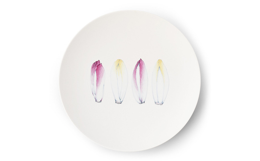 
【伊万里焼/畑萬陶苑】Restaurant MAISON（Paris）φ29cm Plate〈Chicory〉
