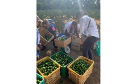 神奈川SDG's　青ミカンROCKビタースカッシュ　６本セット