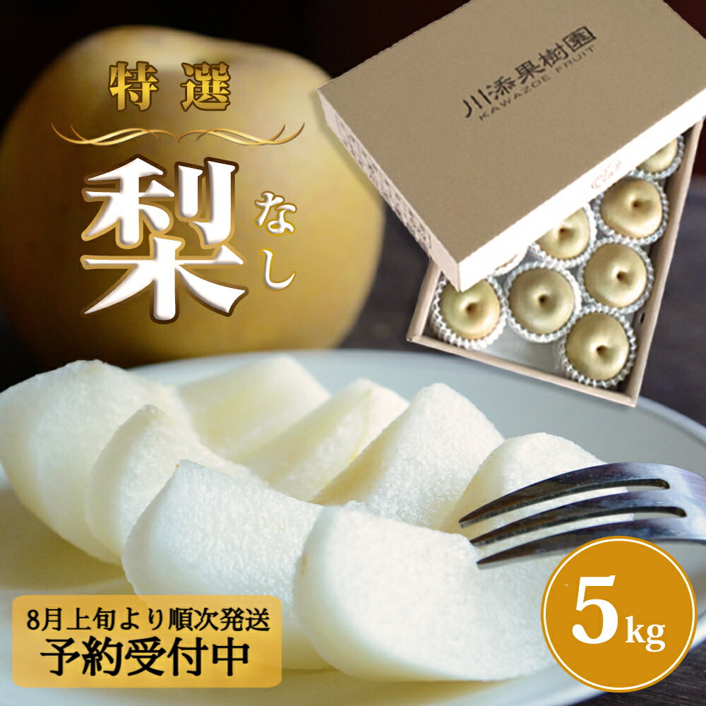【ふるさと納税】 【予約受付中・8月上旬頃より順次発送】旬の品種をお届け！ 川添果樹園の特選 梨 約5kg 徳島県産 和梨 幸水 豊水 南水 秋月 新高 国産 鳴門