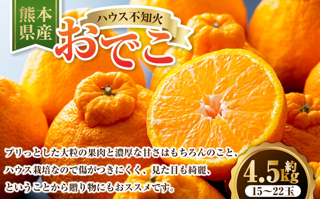 
                  ハウス不知火おでこ 4.5kg 熊本県 果物 くだもの フルーツ 熊本県産 国産 柑橘系 柑橘類 不知火 おでこ ミカン みかん ハウス栽培 贈り物 プレゼント ギフト 贈答 【 2026年12月上旬発送開始 】
                