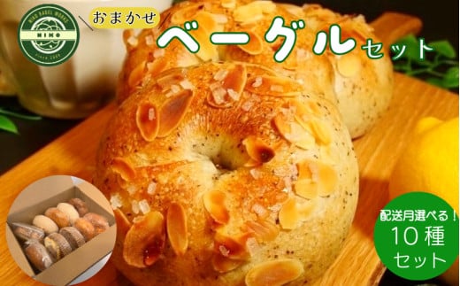 【2025年11月発送分】ベーグル おまかせ 10種セット パン 冷凍 焼きたて もちもちベーグル 便利 詰め合わせ 朝食 おやつ ぱん 国産小麦 食べ比べ 自家製 個包装 人気 小松島市 