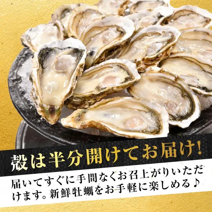 生牡蠣殻付き開殻12個 牡蠣[XBP010]