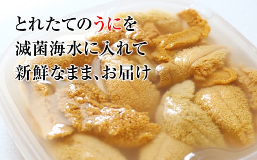 【4月下旬〜発送】ミョウバン 不使用 生うに 牛乳瓶入り 150g×3本  【配送日指定不可】［23］