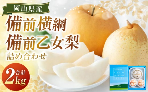 備前横綱 1玉（約1～1.4kg）・備前乙女梨 2～3玉 詰め合わせ 合計約2kg 梨 ナシ なし あたご梨 愛宕梨 あたごなし ジャンボ梨 鴨梨 ヤーリー 【2026年11月下旬～12月下旬発送予定】