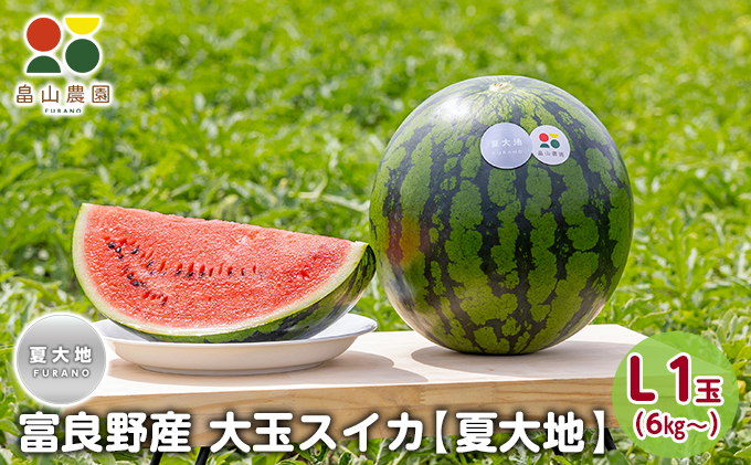 【2026夏発送】富良野産 大玉 スイカ L（6kg～）1玉【夏大地】北海道 ふらの すいか 西瓜 夏 フルーツ ふらの 甘い 糖度 大きい 大だま (畠山農園）