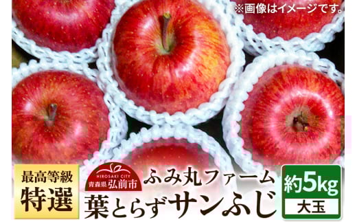 りんご 最高等級「特選」大玉 葉とらず サンふじ 約5kg 糖度14度以上