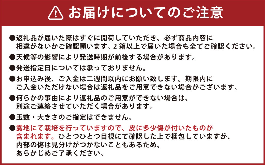 【先行受付】 特選 みかん 5kg 糖度保証 12度！ 【2026年12月上旬から12月下旬発送予定】 温州みかん 果物 フルーツ ミカン 蜜柑 柑橘