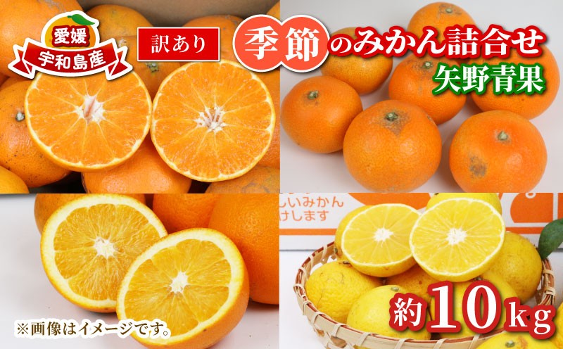 
                  【本日受付終了！】【順次発送中】 訳あり 季節 の みかん 詰合せ 10kg 矢野青果 フルーツ 詰め合わせ セット 柑橘 ミカン 蜜柑 mikan 果物 くだもの 愛媛みかん 愛媛蜜柑 濃厚みかん 産地直送 数量限定 国産 愛媛 宇和島 B010-171033
                