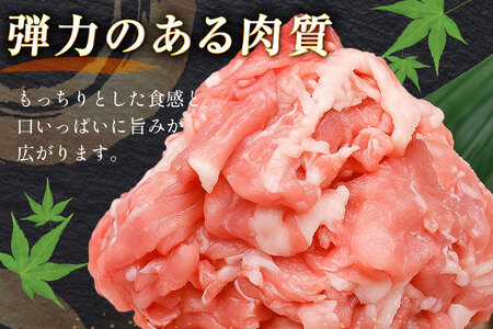 豚肉 バラエティ セット 計3kg ロース とんかつ用 豚こま 肩ロース スライス 切り落とし しゃぶしゃぶ
