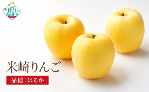 【先行予約】 旬のりんごをお届け！ 米崎りんご 品種：はるか 約5kg 【 りんご リンゴ 林檎 旬 産地直送 新鮮 岩手 陸前高田 マルキヨファーム 】 RT3271-5