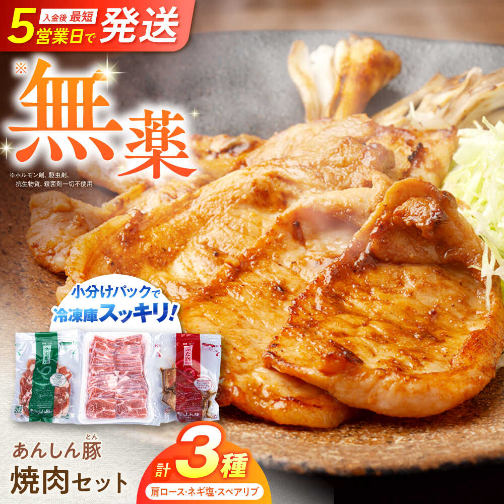 【ふるさと納税】あんしん豚 焼肉セット 豚肉 ロース 国産 白川町 / 藤井ファーム[AWAF005] 小分け 小分けパック バーベキュー BBQ 焼肉 焼肉用 食べ比べ ギフト 焼肉セット美味しい セット 冷凍 リピート 味付き 簡単 料理