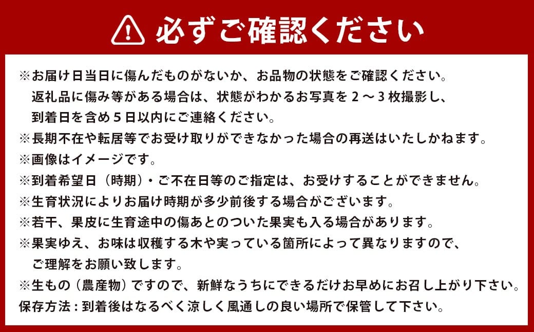 【2026年12月上旬発送開始】熊本県産アールスメロン1玉と立体スイカ1玉