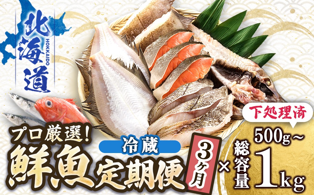 【定期便 3ケ月連続】プロ厳選 北海道産 天然 鮮魚セット ＜冷蔵＞ 500g～1kg ｜ 鮮魚ボックス 詰め合わせ 鮮魚 生食 刺身 下処理 切り身 料理に 定期便も人気 3回 ヒロセ 産地直送 魚介 海鮮 魚介 海鮮定期便 北海道 釧路町 釧路超