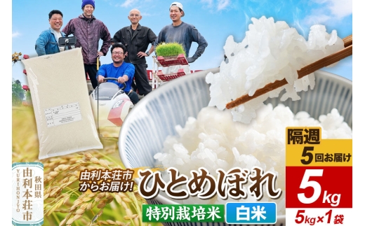 《2週間毎お届け》【定期便5回】令和8年産 新米受付【白米】ひとめぼれ 5kg（5kg×1袋）特別栽培米 秋田県産 [ひとめぼれ 新米予約 米 お米 白米 精米 特別栽培米 ブランド米 食卓 おにぎり 秋田県産 秋田]