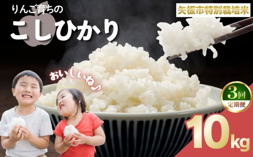 【定期便3回】お米 矢板市特別栽培米「コシヒカリ」りんご育ちの こしひかり 10kg