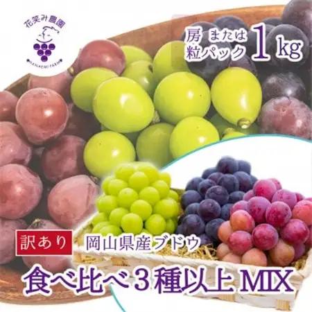 岡山　花笑み農園のブドウ『訳あり3種以上MIX』1kg　W3M-1【配送不可地域：離島・北海道・沖縄県】【1627779】