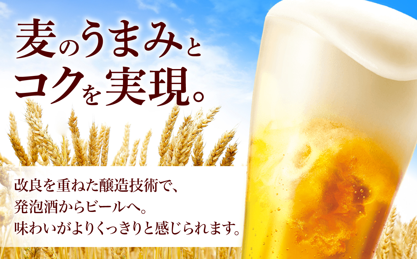 【全3回定期便】オリオン 麦職人 350ml×24本 (6本パック×4) オリオンビール 缶ビール ビール 350ml 24本 沖縄市 / リカーショップ コザ [BCDD023] 常温 ストック