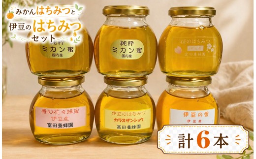 富田養蜂園　みかんはちみつと伊豆のはちみつセット（200g×6本）|さくら サクラ 蜜柑 ミカン 百花 蜂蜜 ハチミツ おまかせ 静岡県 伊豆の国市