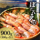 【ふるさと納税】獲れたての味！ ボタンエビ 300g × 3 パック 甲殻類 魚介類 お刺身 焼き物 海鮮丼 海産物 天ぷらフライ 茶碗蒸し 急速超低温冷凍 海老 冷凍 お取り寄せ 北海道 余市町 送料無料