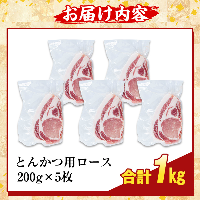 K-382-B 鹿児島県産霜降りトロ豚 ロースとんかつ用(計1kg)【KNOT】霧島市 肩ロース 豚カツ トンカツ 豚肉 国産 鹿児島県産 肉 精肉 小分け