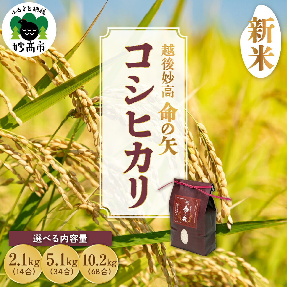 【ふるさと納税】【 先行予約 】令和7年産 命の矢 コシヒカリ 選べる内容量 2.1kg 5.1kg 10.2kg 越後 妙高/ 新潟県 上越 妙高産 米どころ 白米 精米 コメ お米 こめ ご飯 ごはん ライス 弁当 小分け 大容量 お取り寄せ 送料無料 妙高市