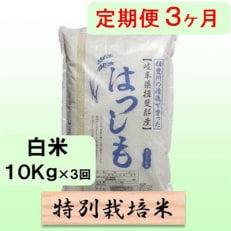 【毎月定期便】3ヶ月【令和6年産】特別栽培米10kg【白米】(ハツシモ)全3回