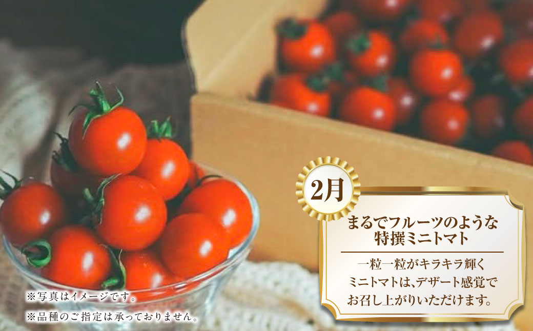 【年4回定期便】熊本の魅力たっぷり、特別な定期便 熊本県産 ミニトマト 約3kg イチゴ 250g×2パック 約500ｇ 大玉トマト 約3.5㎏ メロン 2玉【2026年2月上旬発送開始】4種 フルー