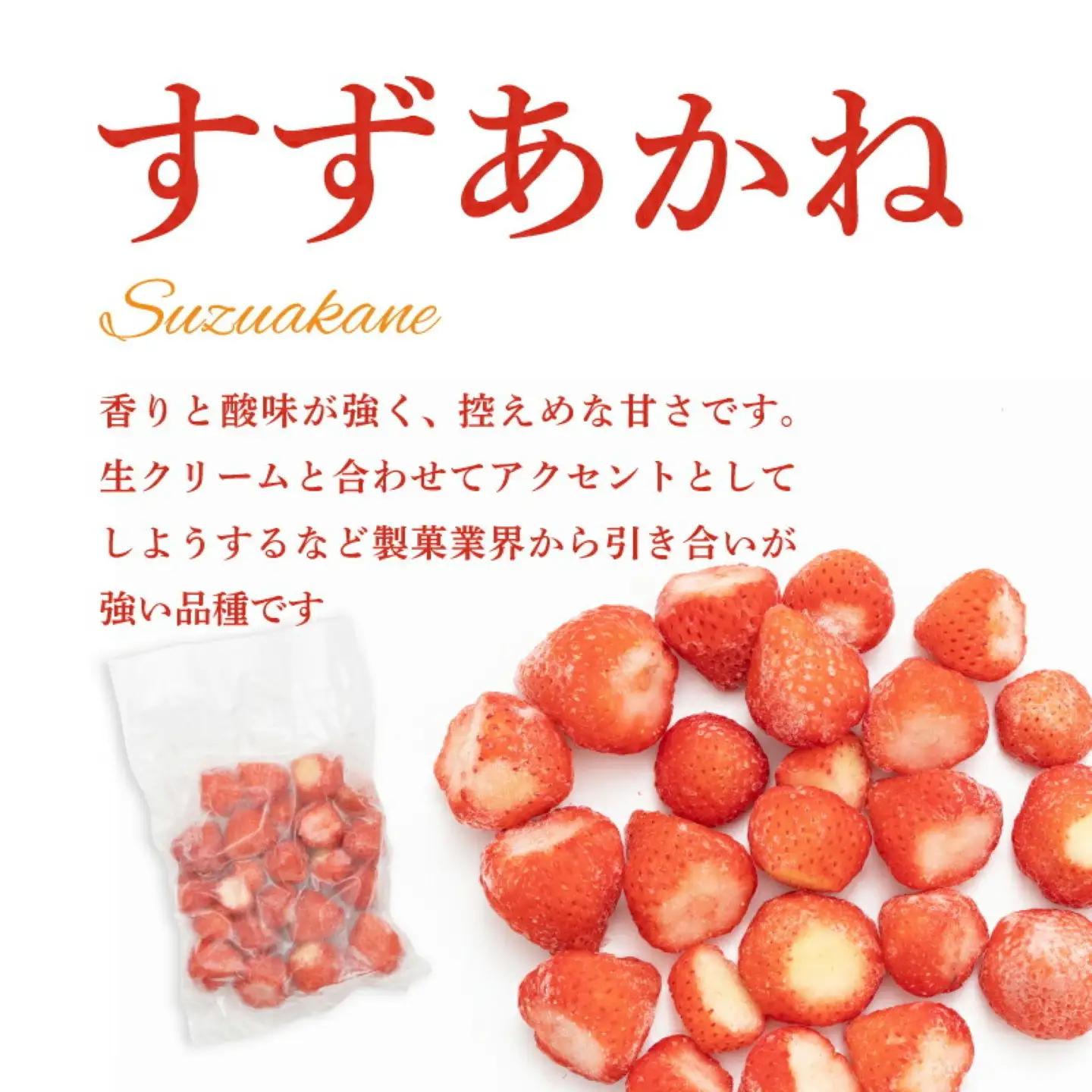 【冷凍いちご 】5袋詰合せセット　いちご　