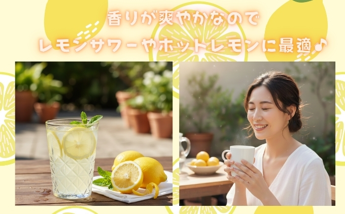 【 かんきつ 3種 定期便 】アレンユーレカ種 レモン ・ せと