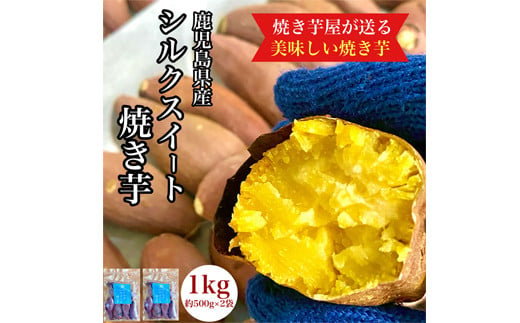 
            2673 鹿児島県産 さつまいも シルクスイート 焼き芋 1kg(500g×2袋)  蜜芋 さつまいも 【クール便配送】【いも 芋 さつま芋 蜜芋 シルクスイート 焼き芋 スイーツ】
          