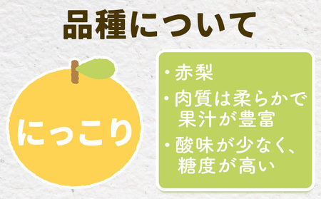 とっくんちの梨にっこり5kg《9月下旬-10月中旬頃出荷》梨【配送不可地域あり】