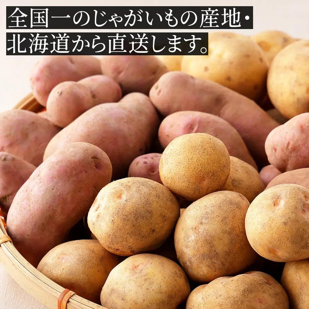 2026年産 北海道産 おまかせ じゃがいも 4種セット 計10kg（2.5kg×4種） 北海道 上士幌町 加藤農場 野菜 ジャガイモ 馬鈴薯 産地直送 ◆2026年12月配送予定