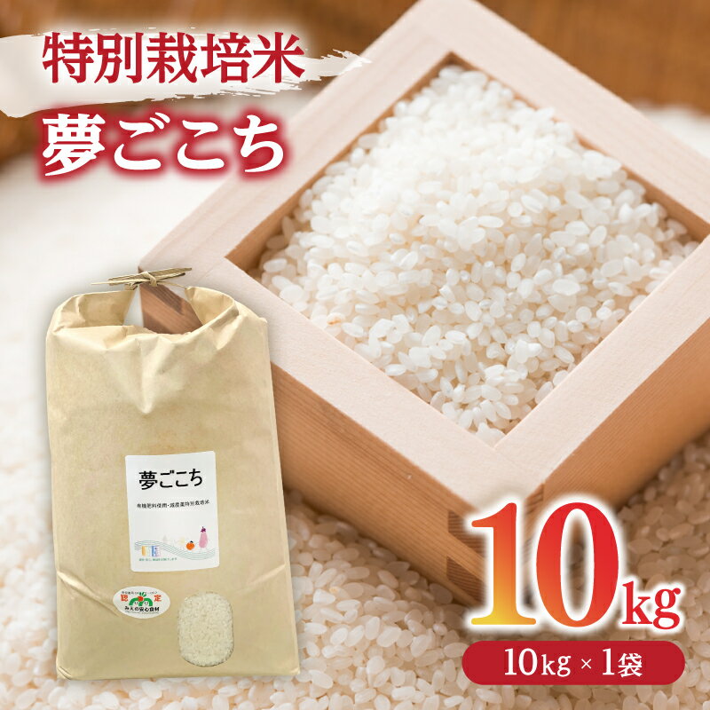 【ふるさと納税】夢ごこち＜特別栽培米＞精米 10kg（減農薬 有機肥料 お米 米 おこめ こめ 白米 ゆめごこち）【田園】