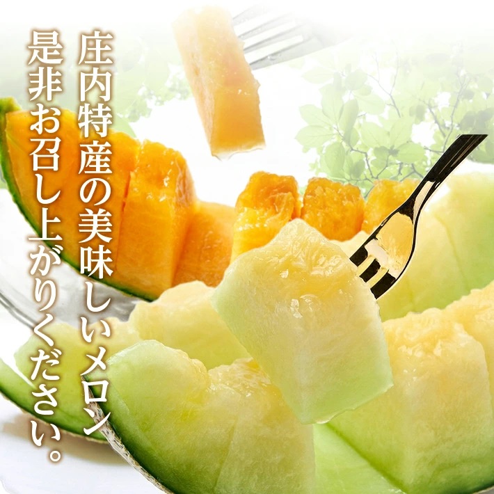 SB0691　メロン食べ比べ『品種おまかせ(青肉・赤肉)メロン 』　約5kg 計4玉(各2玉入)