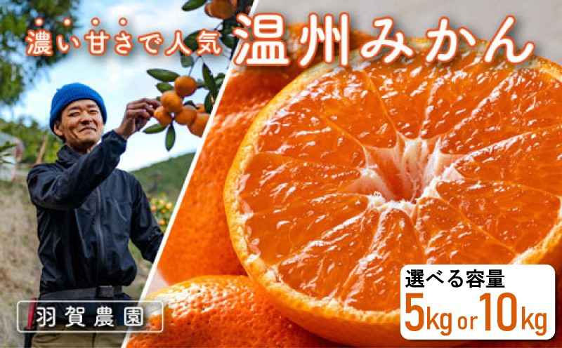 
                  みかん 5kg 10kg 温州みかん 選べる 容量 温州 ミカン 蜜柑 柑橘 数量限定  果物 フルーツ 果実 柑橘類 甘い 酸味 ビタミンC 特産品 名産品 産地直送 農園直送 贈答用 贈り物 ギフト 秋 冬 旬 季節 宿毛市 高知市
                
