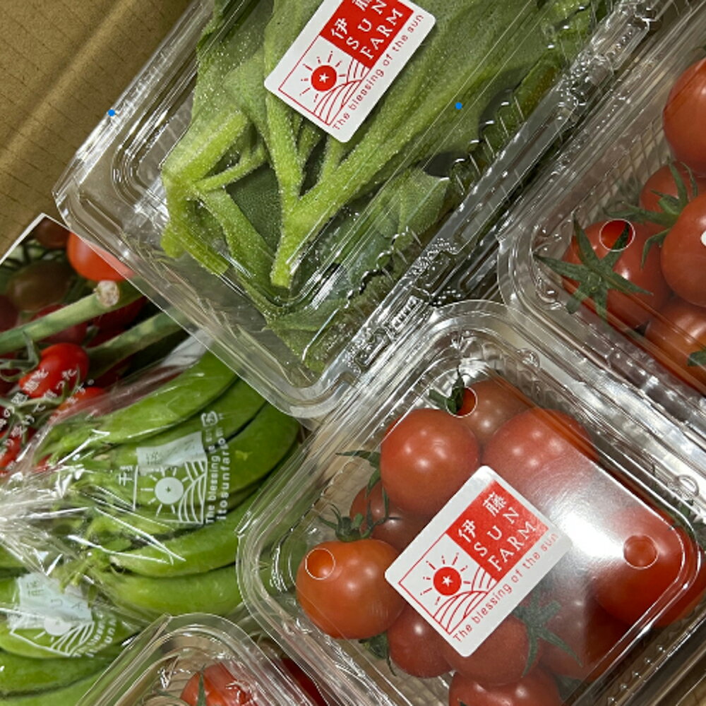 【ふるさと納税】 伊藤SUN FARM 野菜セット ミニトマト スナップエンドウ アイスプラント 期間限定 数量限定 サラダ 野菜 やさい 送料無料 千葉県 旭市 伊藤SUN FARM