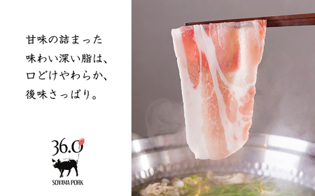 ソヤマポーク味わい堪能3種セットTF0830-P00078