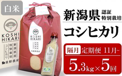 新米先行予約【隔月5ヶ月定期便・11月～発送】コシヒカリ 白米 5kg（ペットボトル米 300g 1本付き）×隔月5回 （計 26.5kg）重ちゃんのお米 令和7年産 [Y0078]