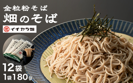 全粒粉そば乾麺 畑のそば 12袋 イチカラ畑/そば そば そば そば