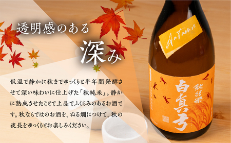 《先行予約受付中》秋限定 秋純米 日本酒 720ml 日本酒 白真弓 晩酌 純米酒 蒲酒造場［Q2934］8000円 8千円 酒 アルコール 地酒 季節のお酒 季節限定 飛騨市