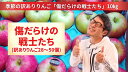 【ふるさと納税】〈 先行予約 〉 訳あり 季節のりんご MIX 10kg ( 28～50個 ) 品種おまかせ 米崎りんご 【 りんご リンゴ 林檎 旬 フルーツ 果物 人気 詰め合わせ セット ギフト 贈答品 ジョナゴールド 紅いわて シナノゴールド 王林 岩手 陸前高田 】24年10月～発送