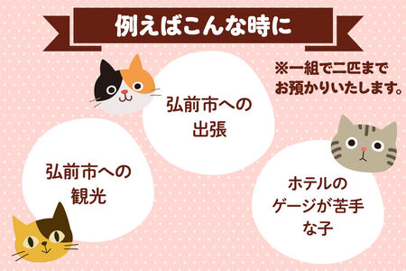 【寄附金額見直しました】ペット ホテル【一日一組限定】キャットホテル 宿泊券 1泊 【レターパックライト】