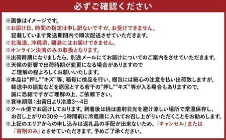 果物詰合せ（岡山白桃 2玉（1玉 220g以上）《等級：ロイヤル》・シャインマスカット晴王 1房（380g以上））【2026年7月上旬～8月上旬まで順次発送予定】【白桃 桃 もも モモ シャインマスカ